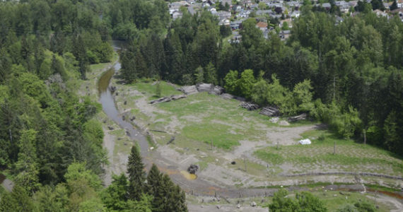 An aerial view of the project site for a plan to reconnect the Puyallup River to its historic floodplain near Orting. (PHOTO COURTESY PIERCE COUNTY)