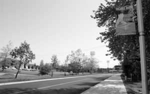 The City of Tacoma's Cheney Stadium Sustainable Stormwater Project included about six acres of permeable pavement, three rain gardens, sustainable landscaping, new pedestrian walkways and seven acres of new tree canopy. (FILE PHOTO BY TODD MATTHEWS)