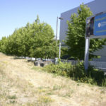 The City of Tacoma plans to develop a segment of the Prairie Line Trail in downtown Tacoma to connect Pacific Avenue to the waterfront. When completed, it will connect to the University of Washington Tacoma campus trail segment, currently under construction. (PHOTO BY TODD MATTHEWS)