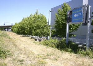 The City of Tacoma plans to develop a segment of the Prairie Line Trail in downtown Tacoma to connect Pacific Avenue to the waterfront. When completed, it will connect to the University of Washington Tacoma campus trail segment, currently under construction. (PHOTO BY TODD MATTHEWS)