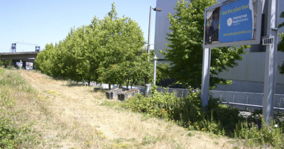 The City of Tacoma plans to develop a segment of the Prairie Line Trail in downtown Tacoma to connect Pacific Avenue to the waterfront. When completed, it will connect to the University of Washington Tacoma campus trail segment, currently under construction. (PHOTO BY TODD MATTHEWS)