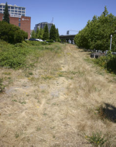 The City of Tacoma plans to develop a segment of the Prairie Line Trail in downtown Tacoma to connect Pacific Avenue to the waterfront. When completed, it will connect to the University of Washington Tacoma campus trail segment, currently under construction. (PHOTO BY TODD MATTHEWS)