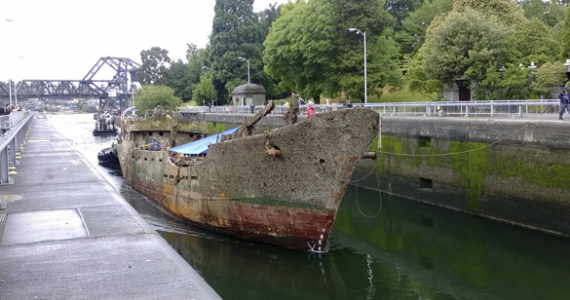 The F/V Helena Star arrives at the Ballard Locks in Seattle last month en route to a scrap facility on Lake Union. (PHOTO COURTESY WASHINGTON STATE DEPARTMENT OF ECOLOGY)