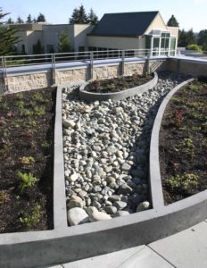 Tacoma Community College celebrated the grand opening of the $39 million H.C. "Joe" Harned Center for Health Careers during a ribbon-cutting ceremony on Thurs., Sept. 4. (PHOTO BY TODD MATTHEWS)