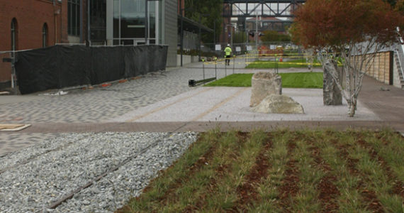 Contractors on Tuesday were putting the finishing touches on a segment of the Prairie Line Trail that runs through the University of Washington Tacoma (UWT) campus. City of Tacoma and UWT officials will celebrate the grand opening of the first phase of the new urban trail during a public ceremony on Thurs., Sept. 25, at 5 p.m. (PHOTO BY TODD MATTHEWS)