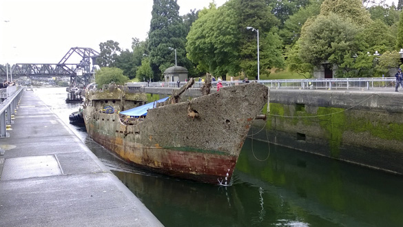 The F/V Helena Star arrives at the Ballard Locks in Seattle in July en route to a scrap facility on Lake Union. (PHOTO COURTESY WASHINGTON STATE DEPARTMENT OF ECOLOGY)