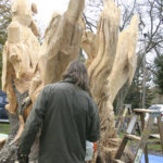 Chainsaw sculptor Bruce 'Thor' Thorsteinson is turning a dead maple tree in Tacoma into a work of art. (PHOTO BY TODD MATTHEWS)