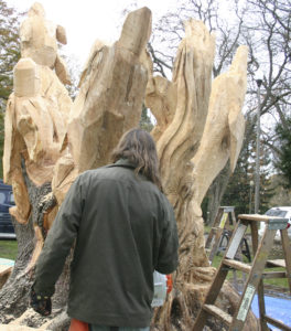 Chainsaw sculptor Bruce 'Thor' Thorsteinson is turning a dead maple tree in Tacoma into a work of art. (PHOTO BY TODD MATTHEWS)