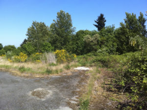 Tacoma Bid Watch: 3 acres for sale, fire simulation training, and building demolition updates