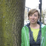 After 'game-changing' injuries, Tacoma's urban forester resigns (PHOTO BY TODD MATTHEWS)