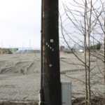 The former Brown & Haley headquarters and warehouse on the Tacoma tide flats has been razed. The Port of Tacoma-owned property was once a hub of economic activity and the headquarters for one of Tacoma's most prominent businesses. The world-famous Tacoma candy-maker that produces Almond Roca and dates back to 1912 moved to the site in 1965 and remained there for more than 40 years. (PHOTO BY TODD MATTHEWS)