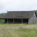 Forterra NW was awarded a grant from Pierce County in 2012 to repair the roof on a historic barn that was built circa-1910 on the Morse Wildlife Preserve in Graham. (PHOTO COURTESY FORTERRA NW)