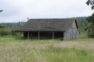 Forterra NW was awarded a grant from Pierce County in 2012 to repair the roof on a historic barn that was built circa-1910 on the Morse Wildlife Preserve in Graham. (PHOTO COURTESY FORTERRA NW)