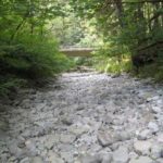 Historic low river levels, record-setting hot and dry weather, and an increased demand for water led Tacoma, Everett, and Seattle to implement the first stage of their water shortage response plans earlier this month. The extraordinary weather drained the North Fork of the Green River (pictured), according to Tacoma Water officials, and May and June were the driest in Green River Watershed history. (PHOTO COURTESY TACOMA WATER)