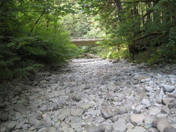 Historic low river levels, record-setting hot and dry weather, and an increased demand for water led Tacoma, Everett, and Seattle to implement the first stage of their water shortage response plans earlier this month. The extraordinary weather drained the North Fork of the Green River (pictured), according to Tacoma Water officials, and May and June were the driest in Green River Watershed history. (PHOTO COURTESY TACOMA WATER)