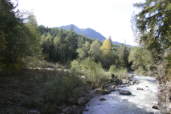 Vancouver Notch: In Mount Rainier's foothills, Barbara Reid completes one famous explorer's journey