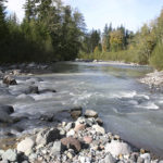 The Puyallup River (left) and the Mowich River (right) confluence in the heart of Vancouver Notch. (PHOTO BY TODD MATTHEWS)