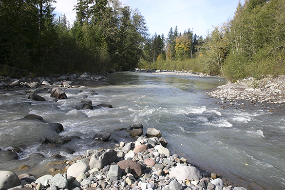 The Puyallup River (left) and the Mowich River (right) confluence in the heart of Vancouver Notch. (PHOTO BY TODD MATTHEWS)