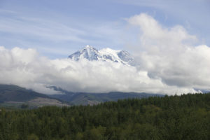 Mount Rainier viewed from a logging road en route to Vancouver Notch. (PHOTO BY TODD MATTHEWS)