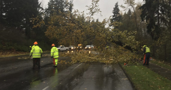 PHOTOS: High winds, heavy rain cause Tacoma damages