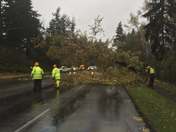 PHOTOS: High winds, heavy rain cause Tacoma damages