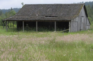 Pierce County awarded a $7,500 grant to the Morse Wildlife Preserve for a preservation project related to the site's historic shed. (COURTESY PHOTO)