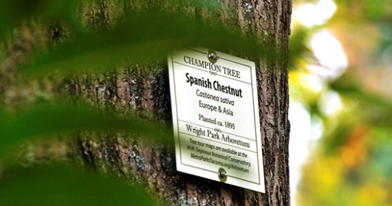 Signs highlight tree diversity in Tacoma's historic Wright Park