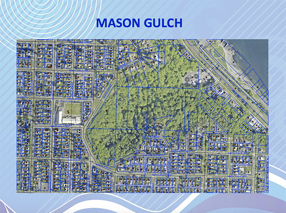 Open house March 30 to discuss Mason Gulch management plan