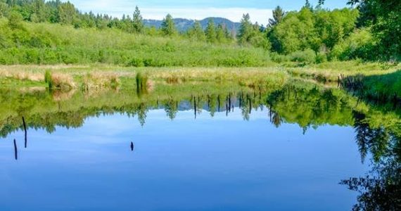 Capitol Land Trust buys Darlin Creek land