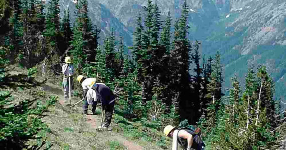 Olympic NF finishes Skokomish restoration