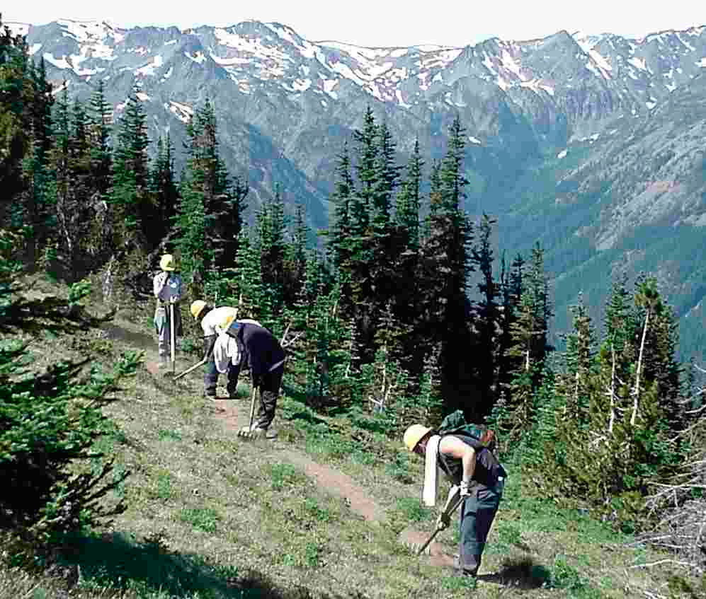 Olympic NF finishes Skokomish restoration