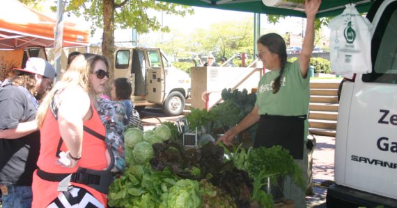 Tacoma farmers' markets bring the farm to the city