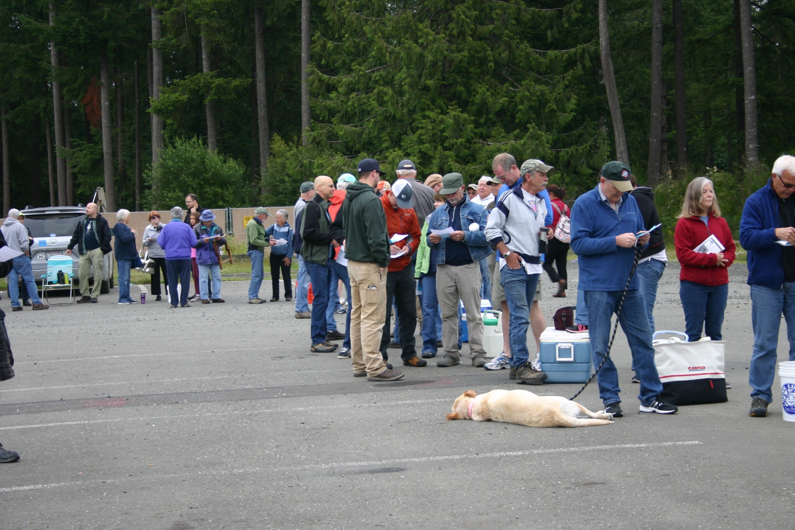Waterfront property owners line up on June 25, 2016, hoping to purchase shellfish "seed" to plant in their own oyster and clam beds. Taylor Shellfish Farms conducts seed sales like this one several times during the summer. Credit: David Guest / TDI