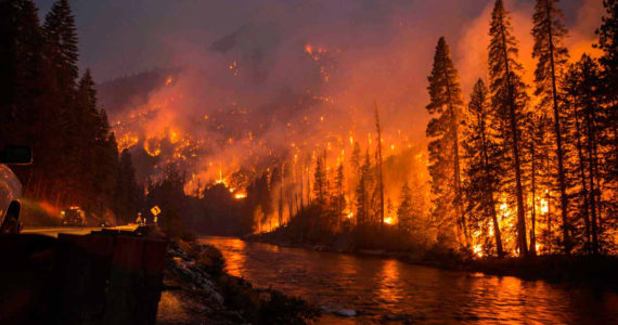 The Chiwaukum Fire, started by lightning, burned more than 14,000 acres in July 2014. Credit: Washington State DNR