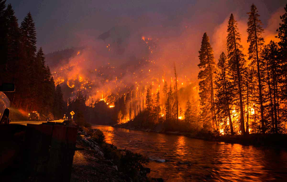 The Chiwaukum Fire, started by lightning, burned more than 14,000 acres in July 2014. Credit: Washington State DNR