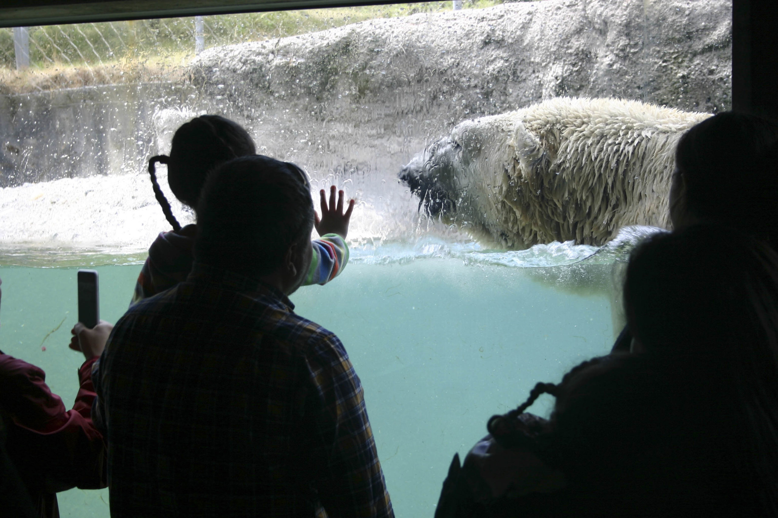 Point Defiance Field Guide and game offers visitors new ways to explore