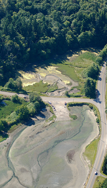 Harper Estuary restoration begins on Kitsap Peninsula