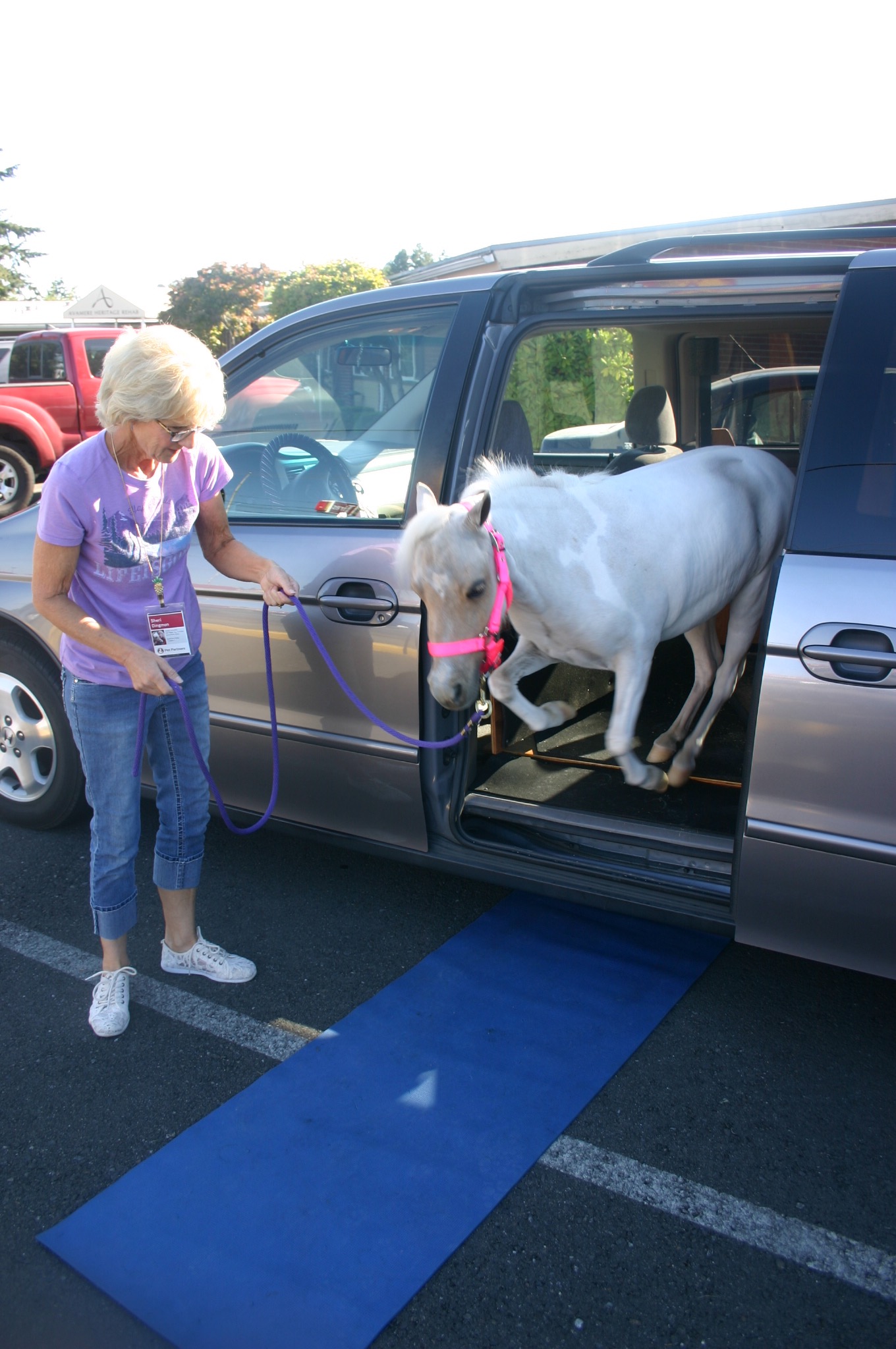 Sheri Dingmon and her miniature horse Drama get ready to visit residents at a Tacoma rehabilitation facility, Aug. 19, 2016. Credit: David Guest, TDI