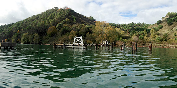 Maury Island pier cleanup begins