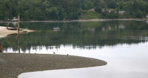 Geoduck farm subject of public meeting, Oct. 25