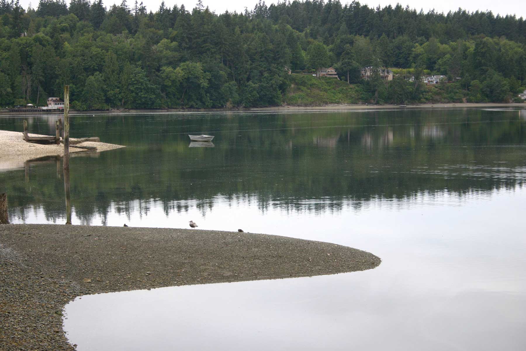 Geoduck farm subject of public meeting, Oct. 25