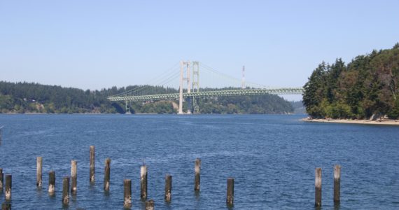 Meetings to focus on Puget Sound shorelines