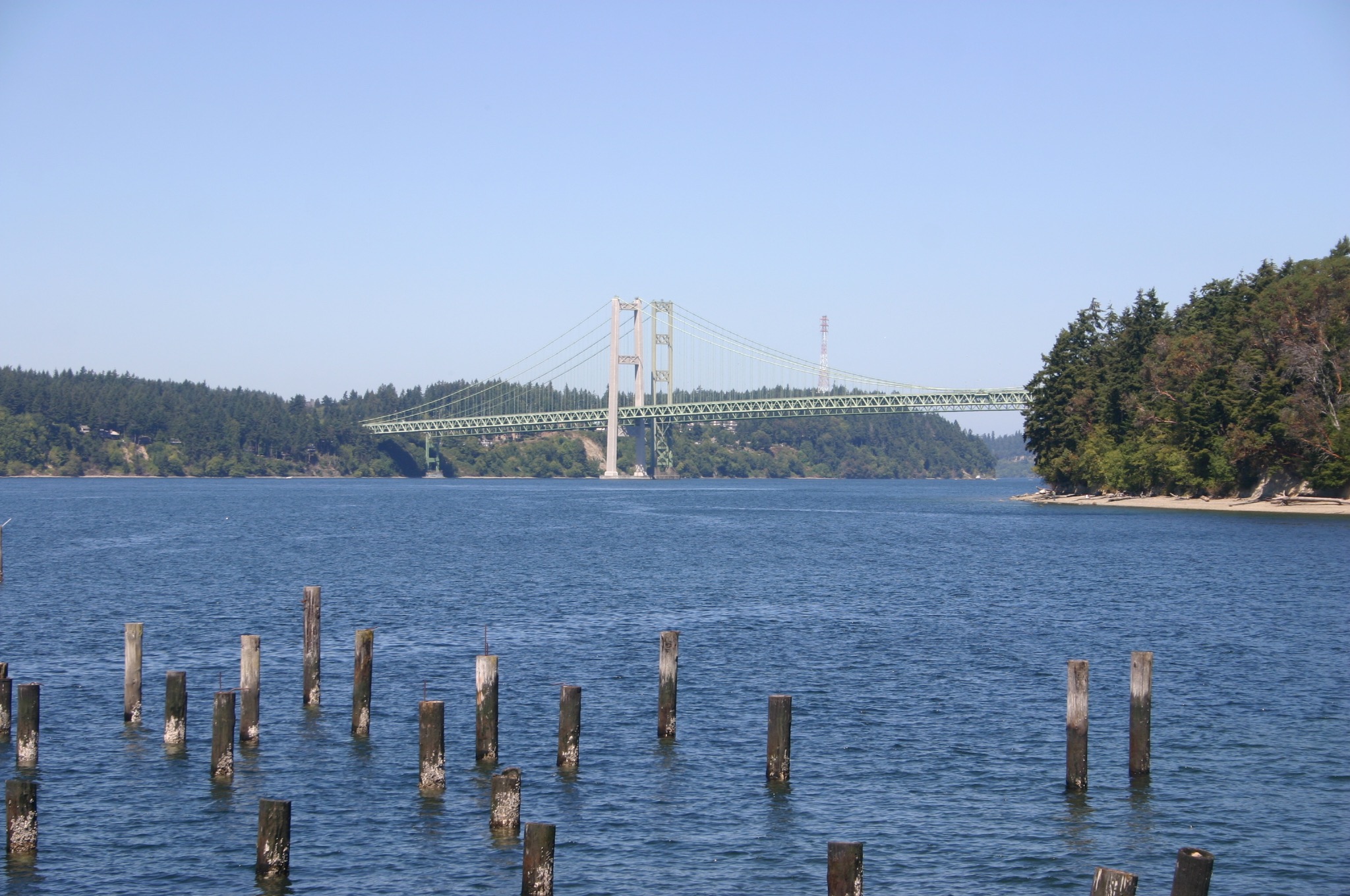 Meetings to focus on Puget Sound shorelines