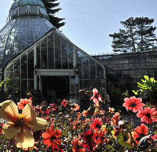 Wright Park Botanical Conservatory to get new restrooms in 2017