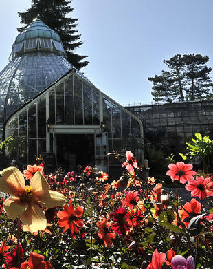 Wright Park Botanical Conservatory to get new restrooms in 2017
