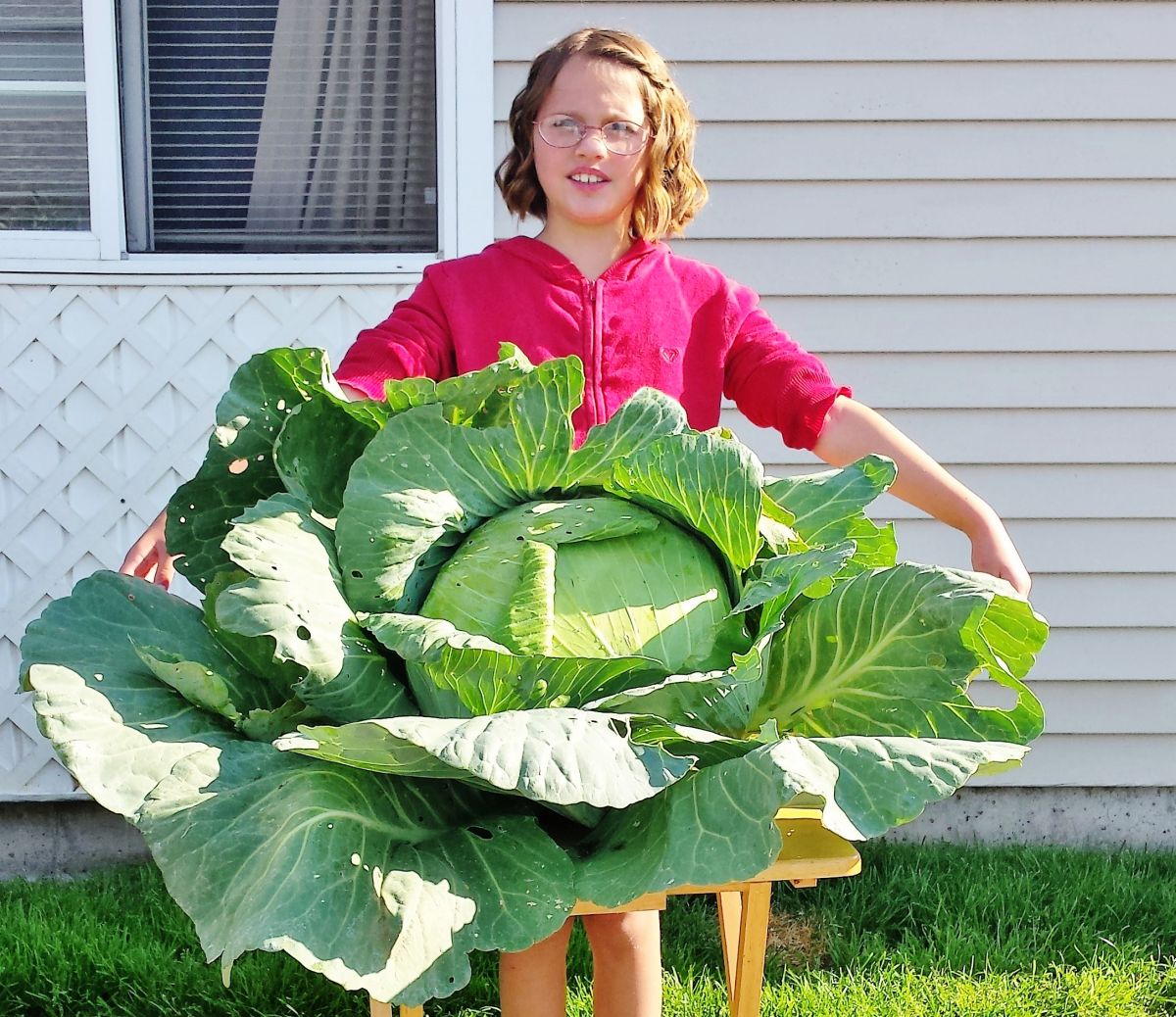 Kids Grow Green: Cashing in on Cabbages