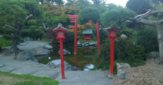 At the Pagoda pondPhoto by Morf Morford