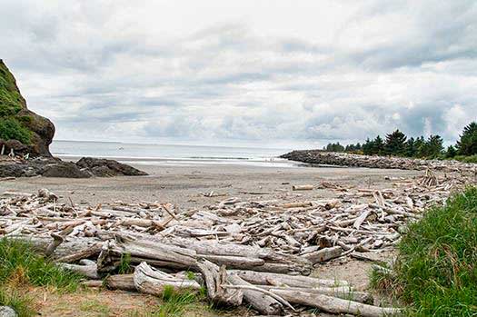 Photo courtesy Washington State Parks