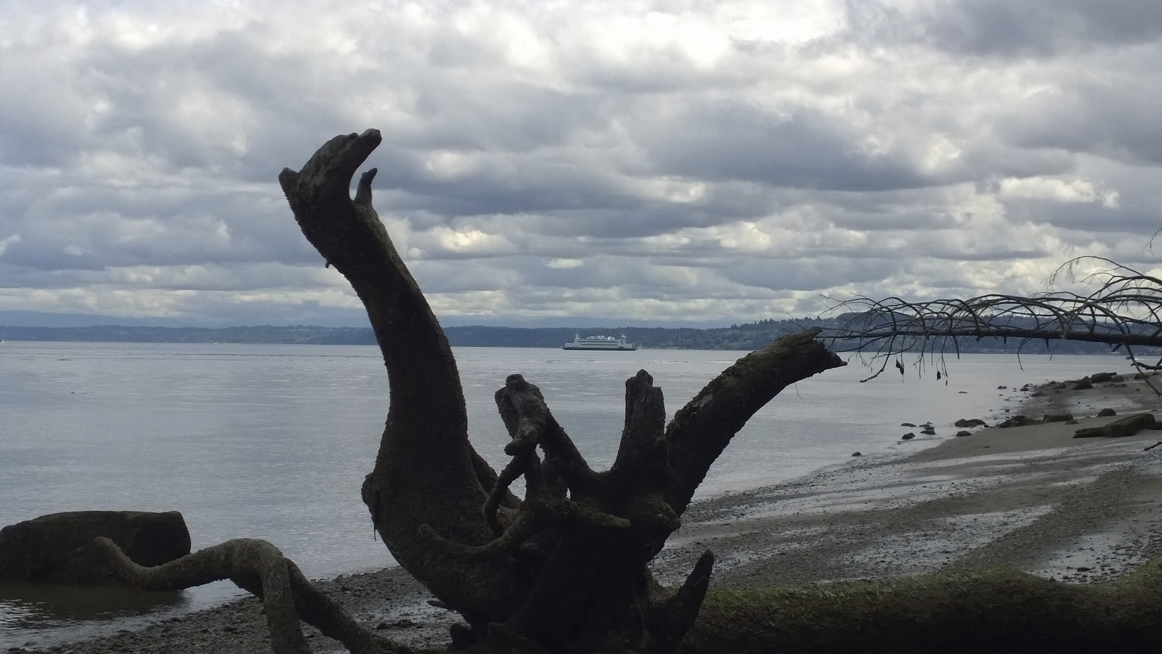 Weather wimps of the world it's who we are Daily Index