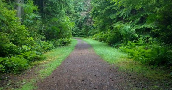 A Tacoma park trailPhoto by Morf Morford